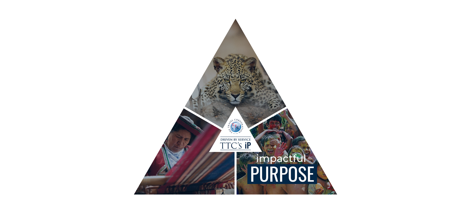 Impactful Purpose Triangle Logo