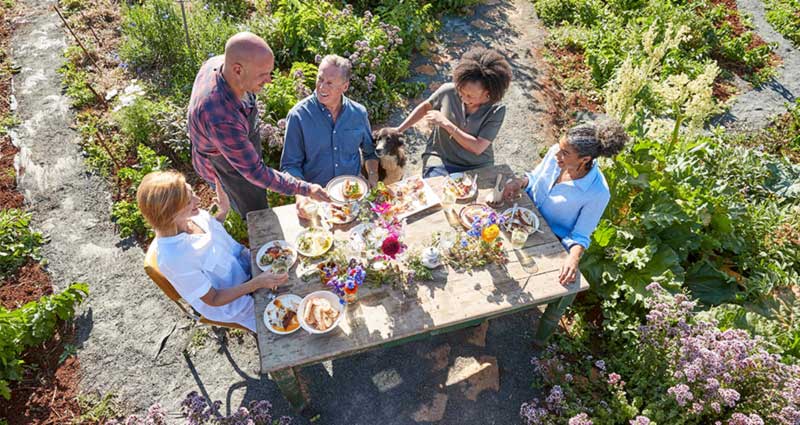 a group a people enjoying a meal in the middle of a garden